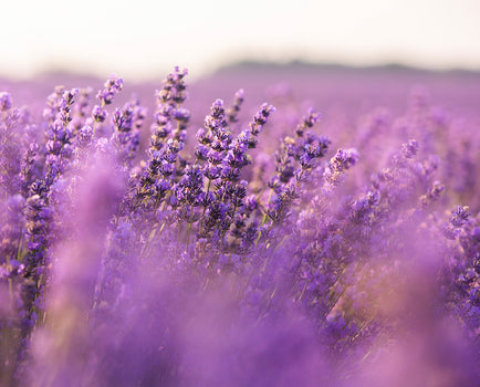 Aromatherapie